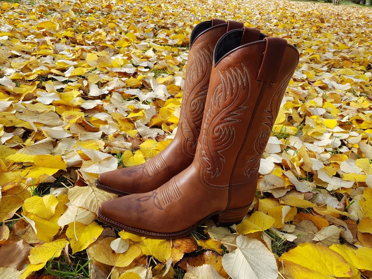 Anderson Bean Briar Western Boot