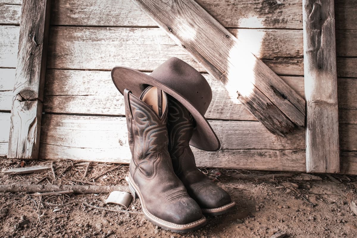 Ariat Women's Dixon Western Boot