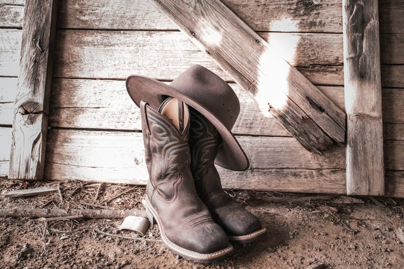 Ariat Women's Dixon Western Boot