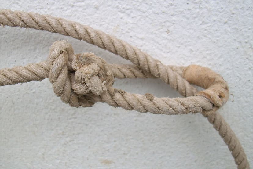 Classic Ranch Lasso Rope 50ft